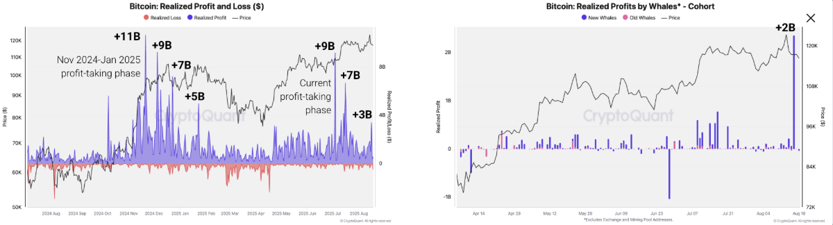 Bitcoin Realized Profit and Loss (Left) chart. Bitcoin realised profits by whales (right) chart. Source: CryptoQuant